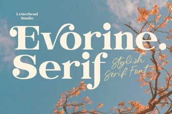Evorine Serif Font for Elegant Web Design